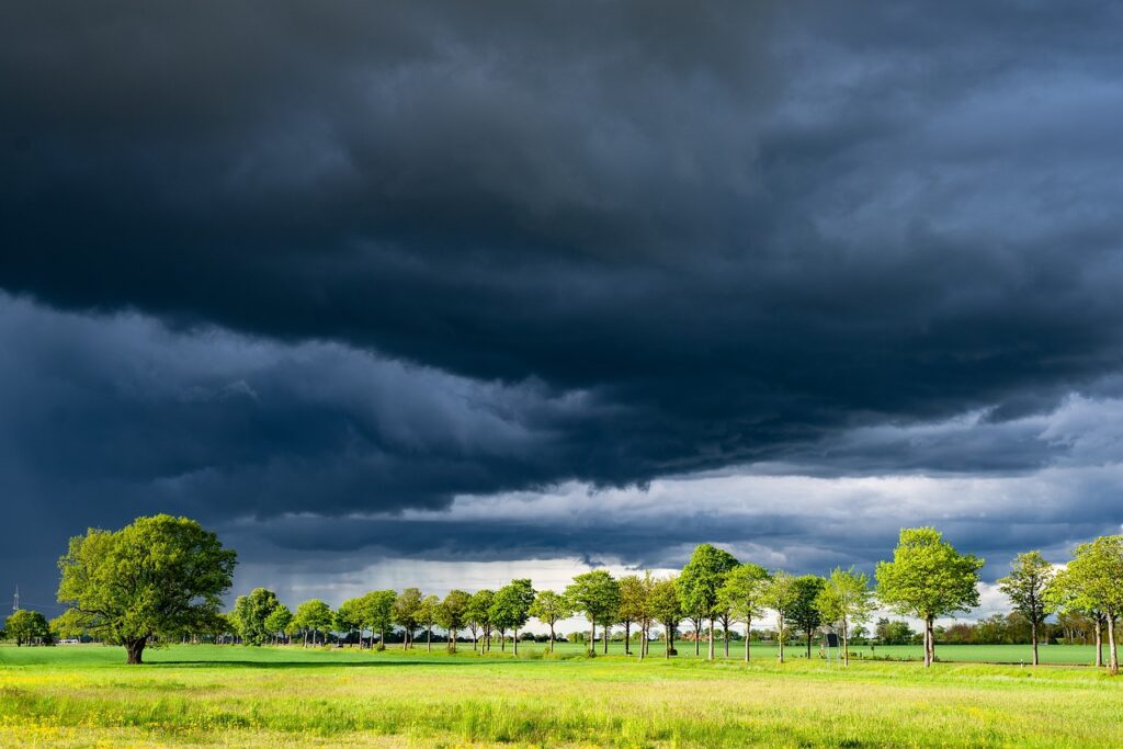 Does Farmers Insurance Operate in Canada?