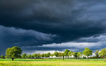 Does Farmers Insurance Operate in Canada?