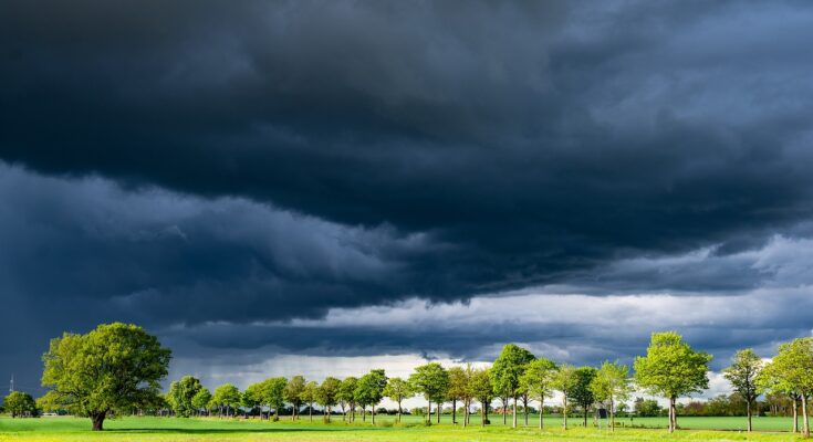 Does Farmers Insurance Operate in Canada?